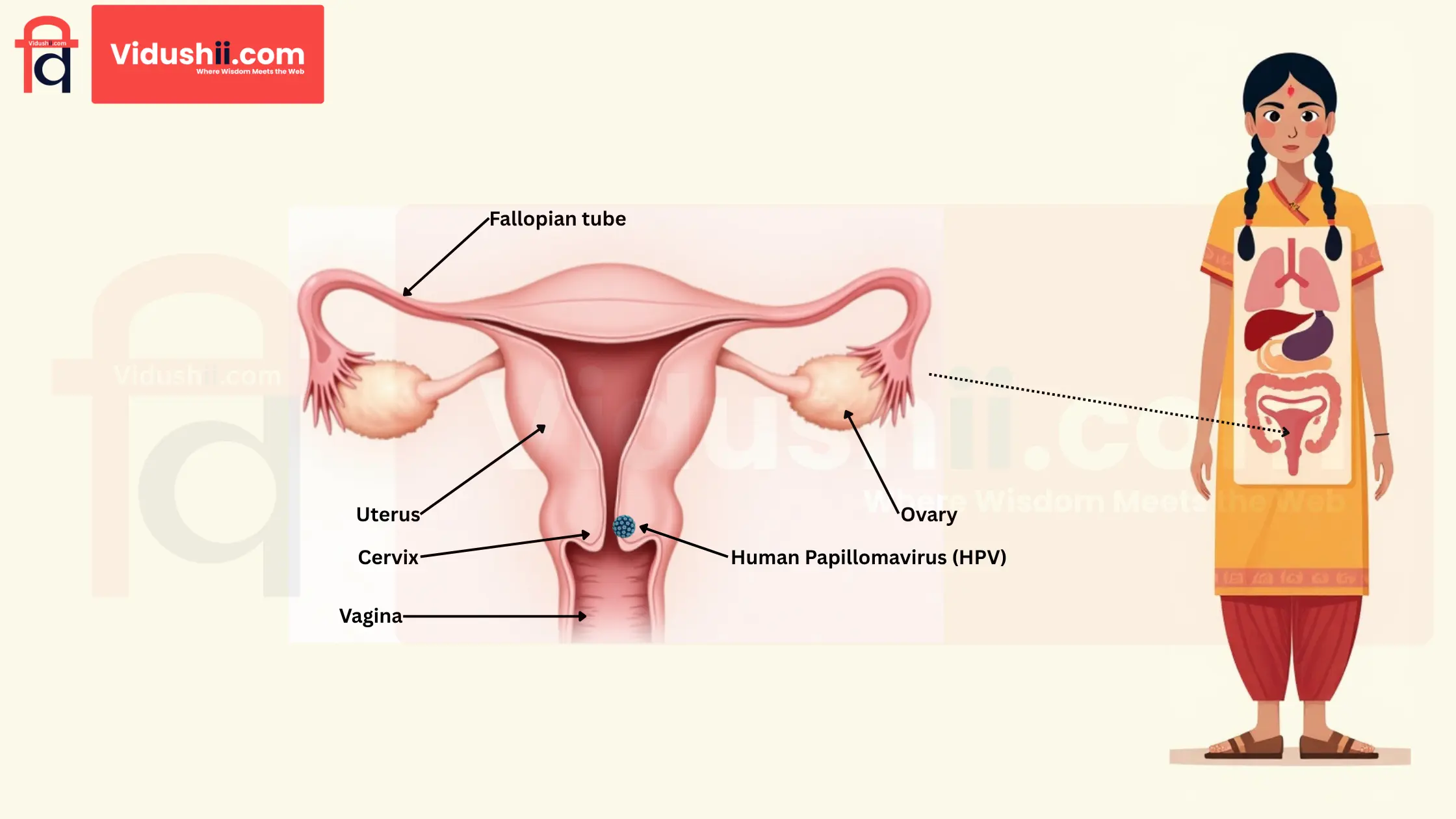 Cervical Cancer: 100% Preventable | Causes, Symptoms And Screening Explained